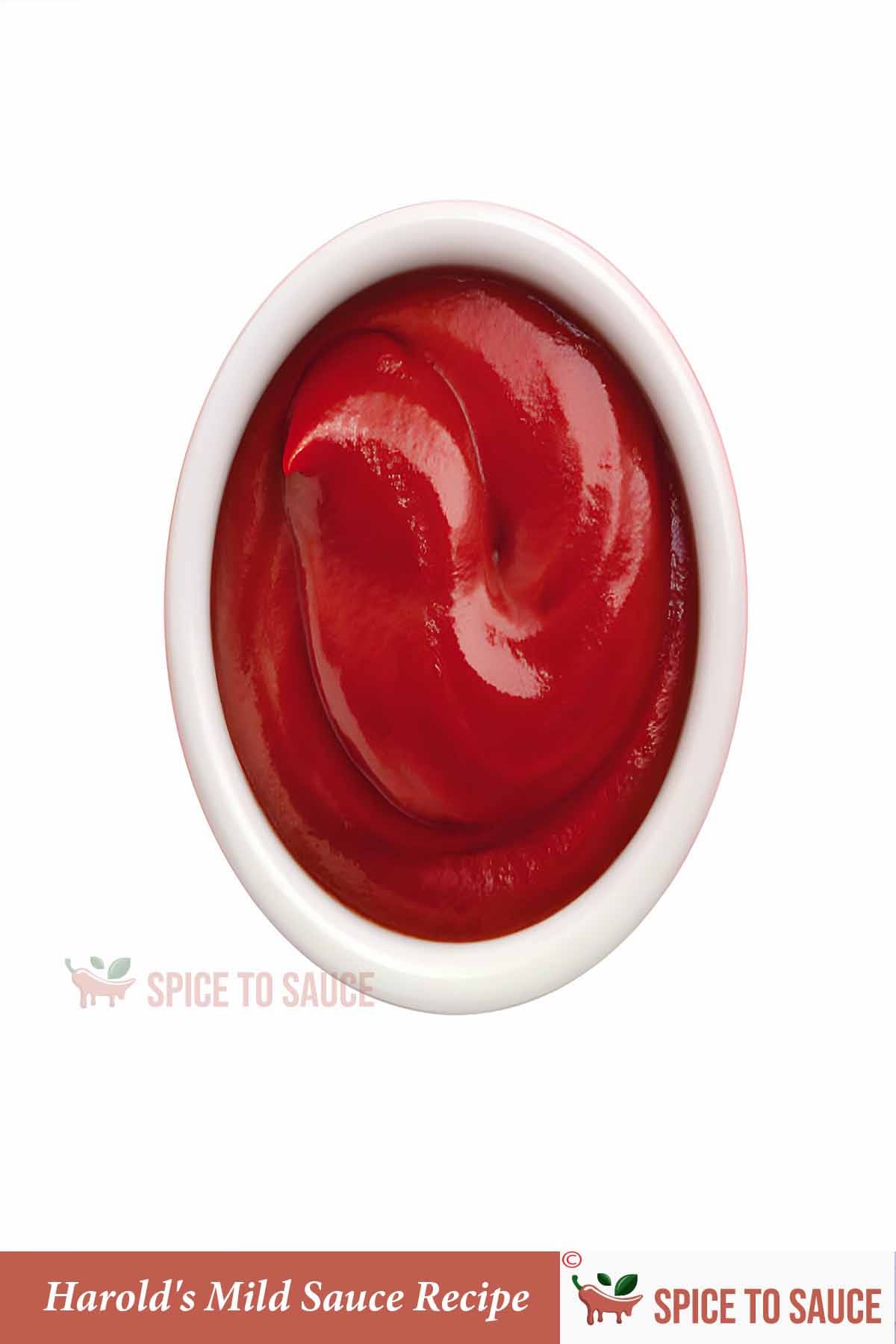 Easy Harold's Mild Sauce Recipe | Spice to Sauce | 2025
