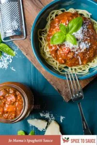 Jo Mama's Spaghetti Sauce