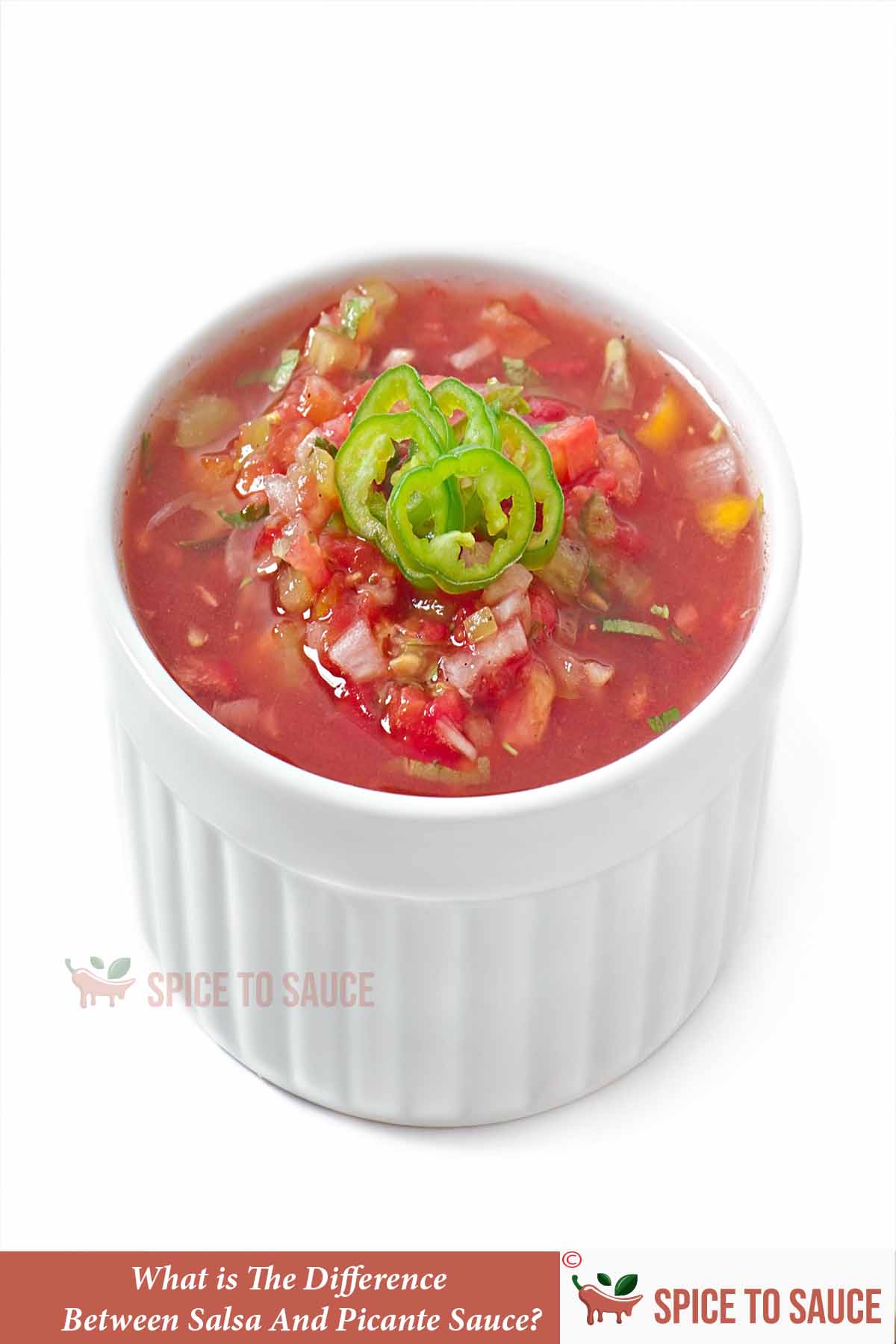 What is the difference between salsa and picante sauce spice to sauce
