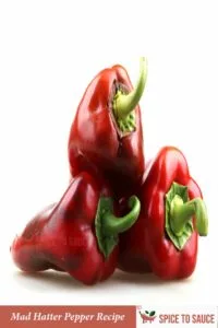 Mad Hatter Pepper Recipe