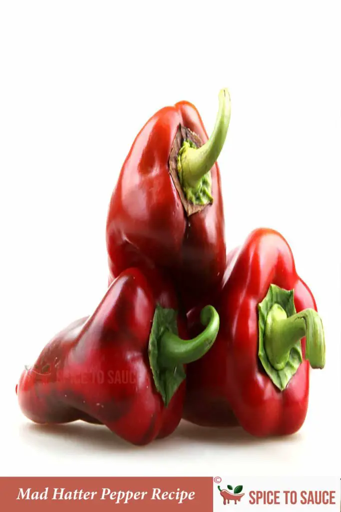 Mad Hatter Pepper Recipe