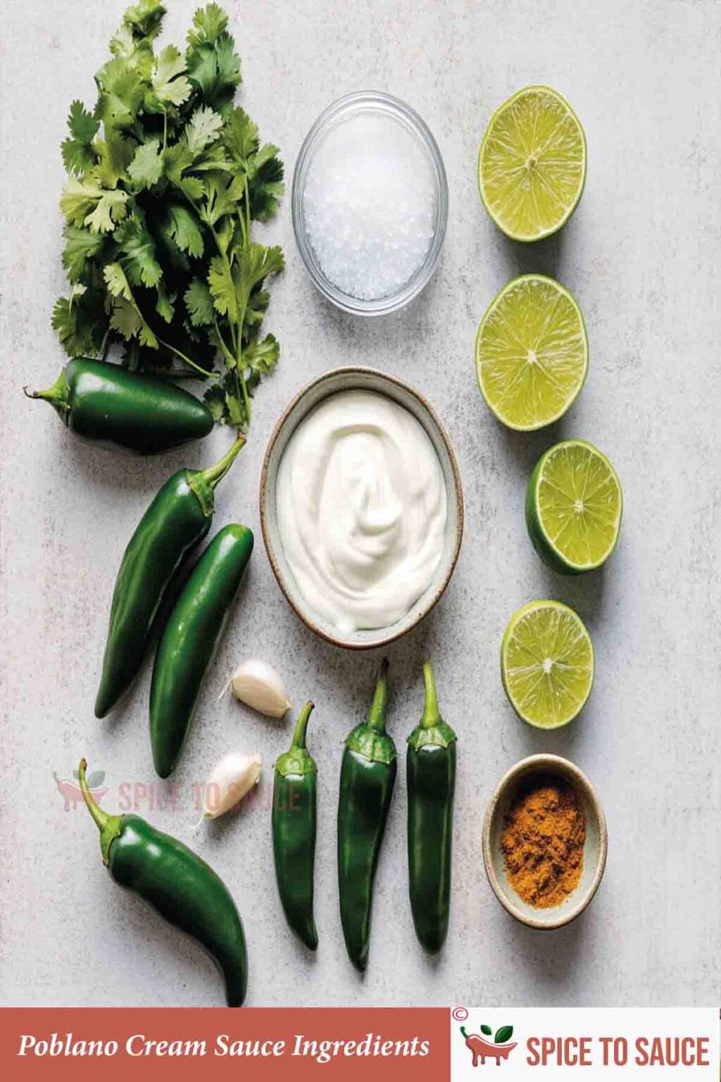 Easy & Quick Poblano Cream Sauce Recipe