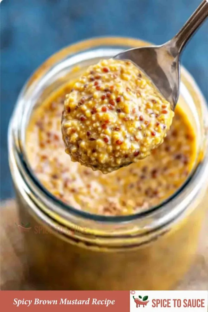 Spicy Brown Mustard Recipe