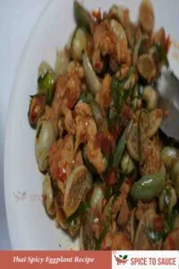 Thai Spicy Eggplant Recipe