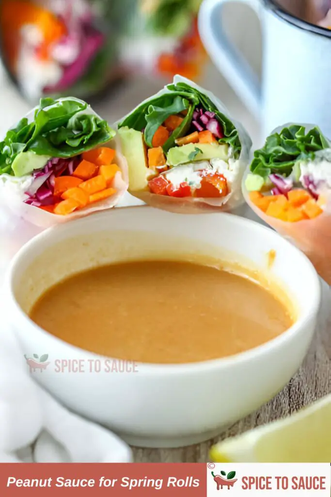 Peanut Sauce for Spring Rolls