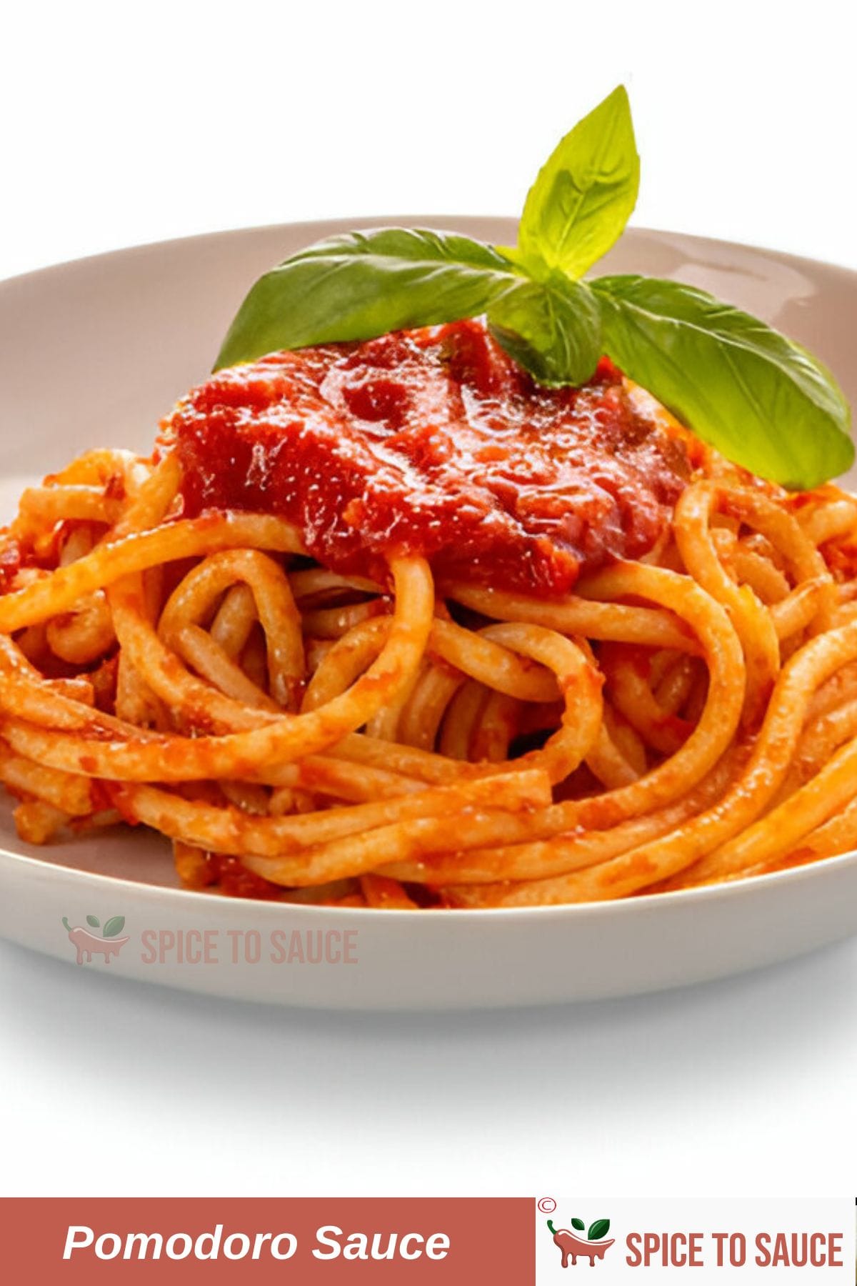 Homemade Pomodoro Sauce Recipe | Journey to be an Expert of Italian Cuisine