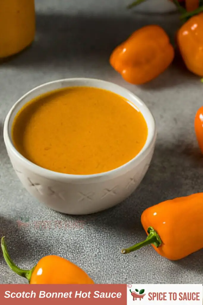 Scotch Bonnet Hot Sauce