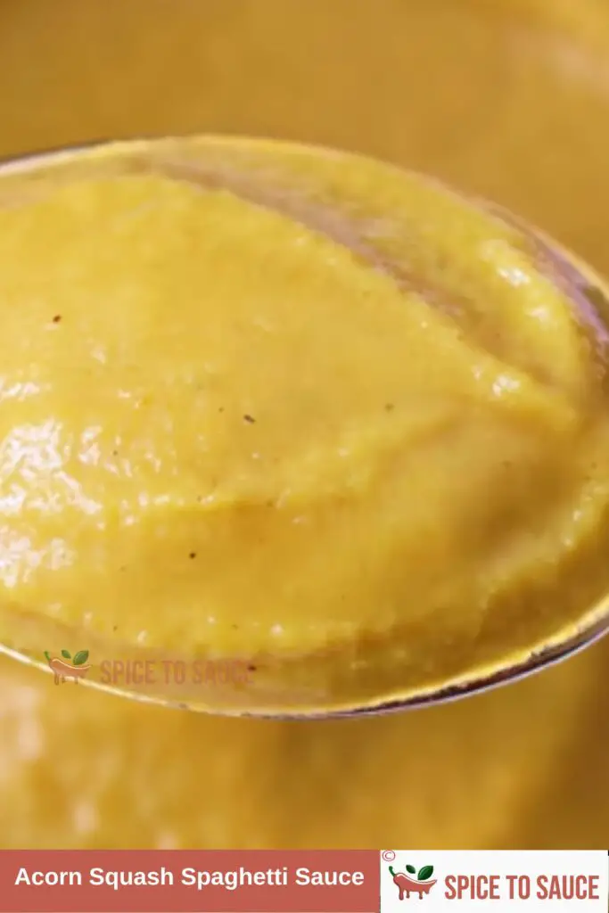 Acorn Squash Spaghetti Sauce