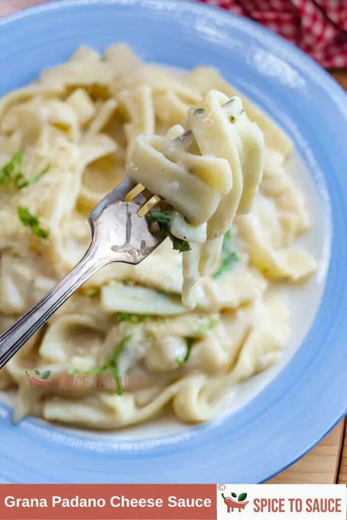 Grana Padano Cheese Sauce