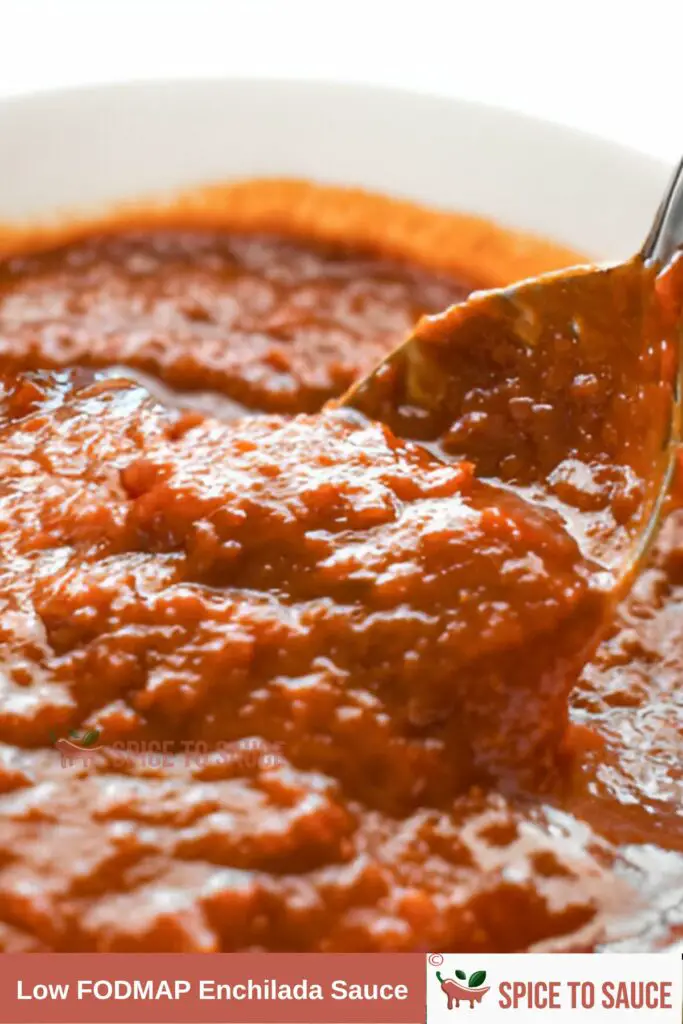 Low FODMAP Enchilada Sauce