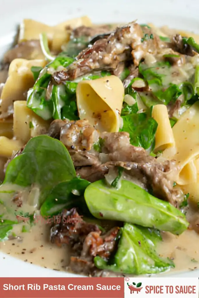 Short Rib Pasta Cream Sauce