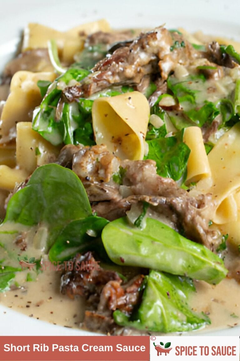 Short Rib Pasta Cream Sauce