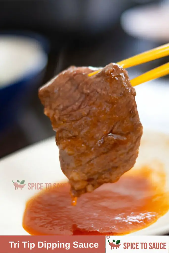  Tri Tip Dipping Sauce